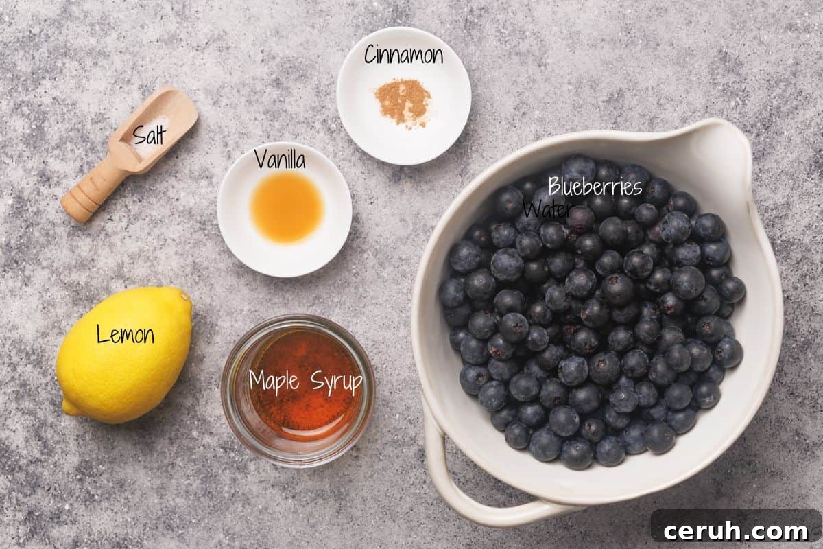 A bowl of blueberries sits on a gray countertop, surrounded by a lemon, a small wooden scoop of salt, a dish of cinnamon, a dish of vanilla, and a jar of maple syrup. Each ingredient is labeled.