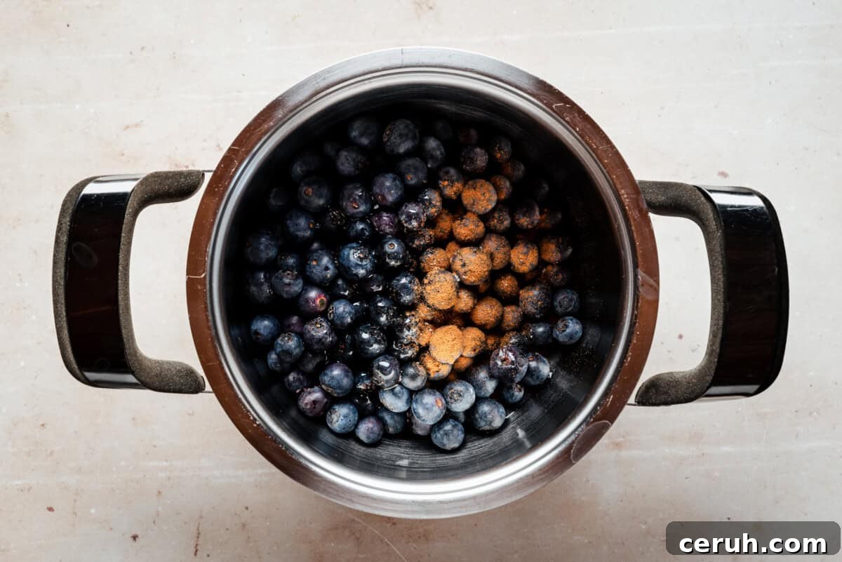 A metal pot filled with fresh blueberries and a pinch of ground cinnamon on top, viewed from above on a light-colored surface.