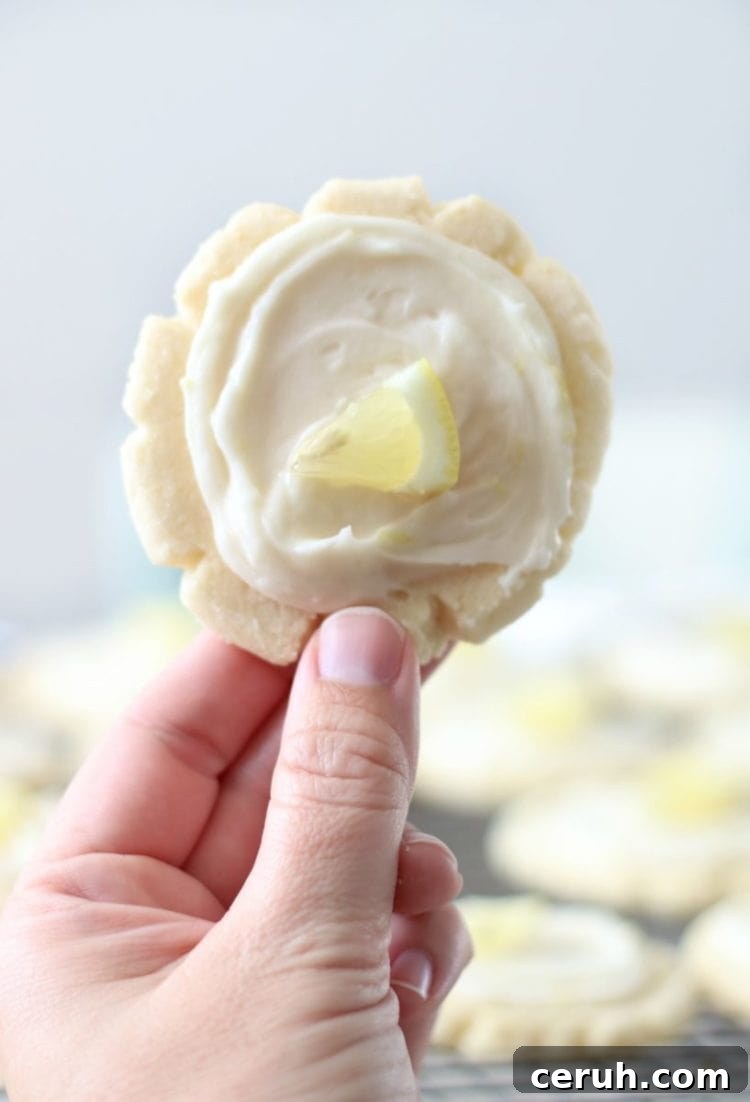 Lemon Sugar Cookies Recipe with Video Tutorial 5 hand holding lemon sugar cookie