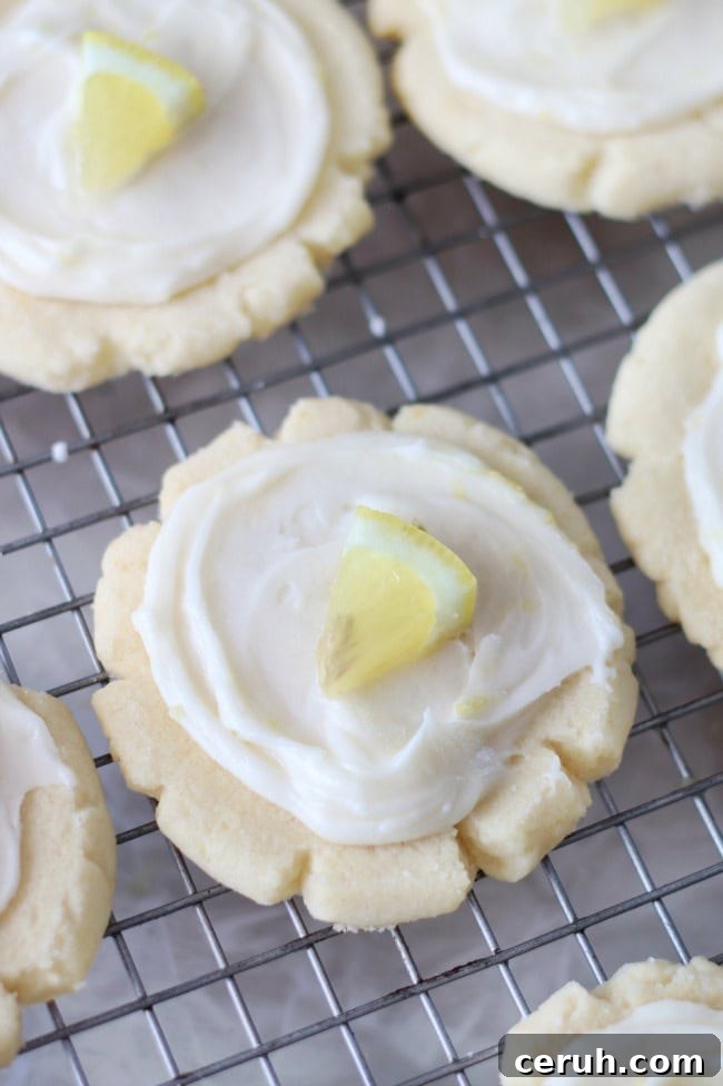 Lemon Sugar Cookies Recipe with Video Tutorial 10 sugar cookies on cooling rack