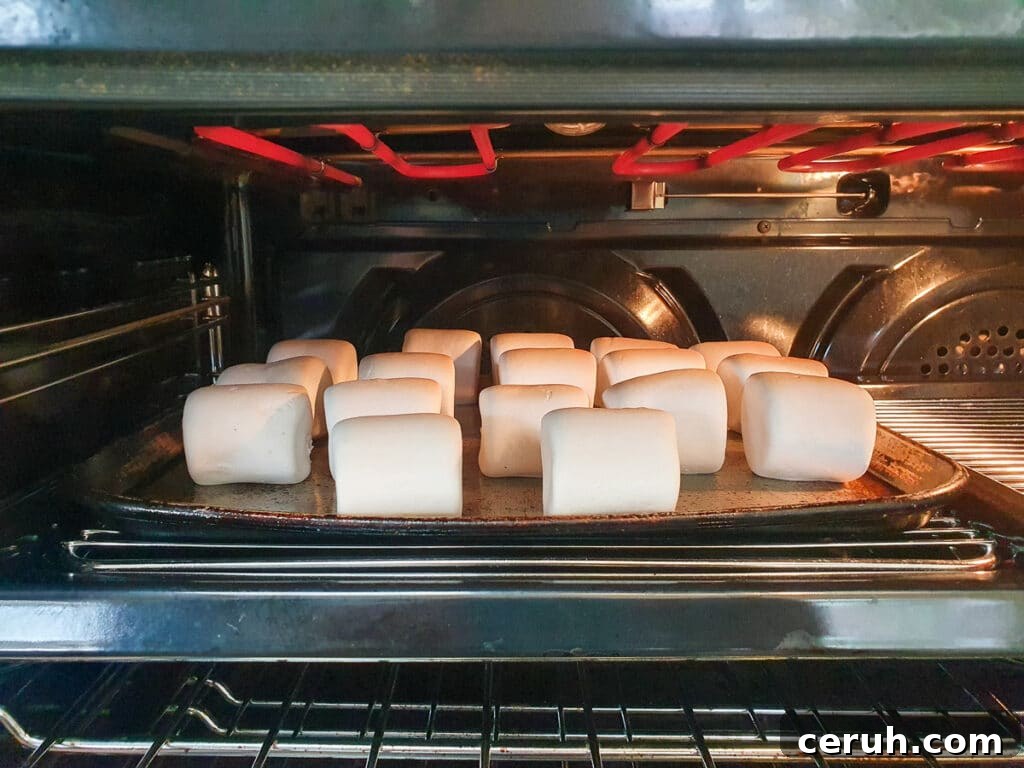Marshmallow toasted under grill.