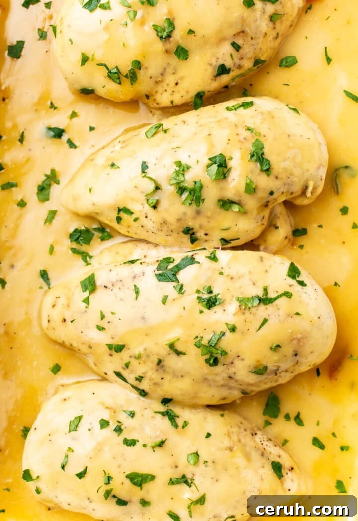 closeup of four honey mustard chicken breasts in a baking dish