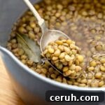 How Do you Cook Lentils