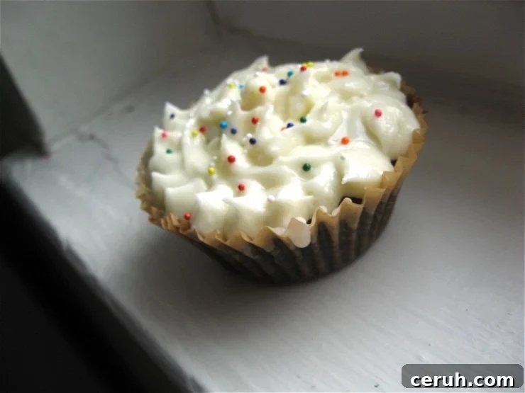 Wacky Chocolate Cupcakes Recipe | sophisticatedgourmet.com