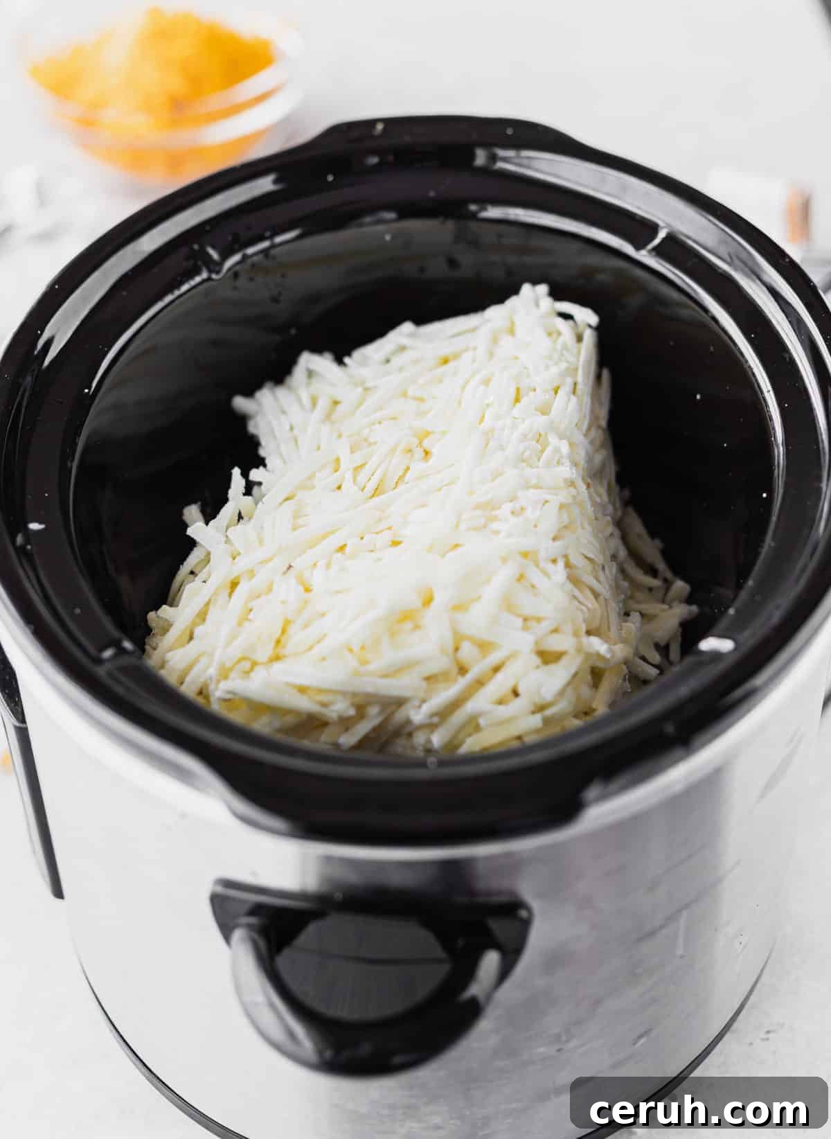 ingredients in slow cooker