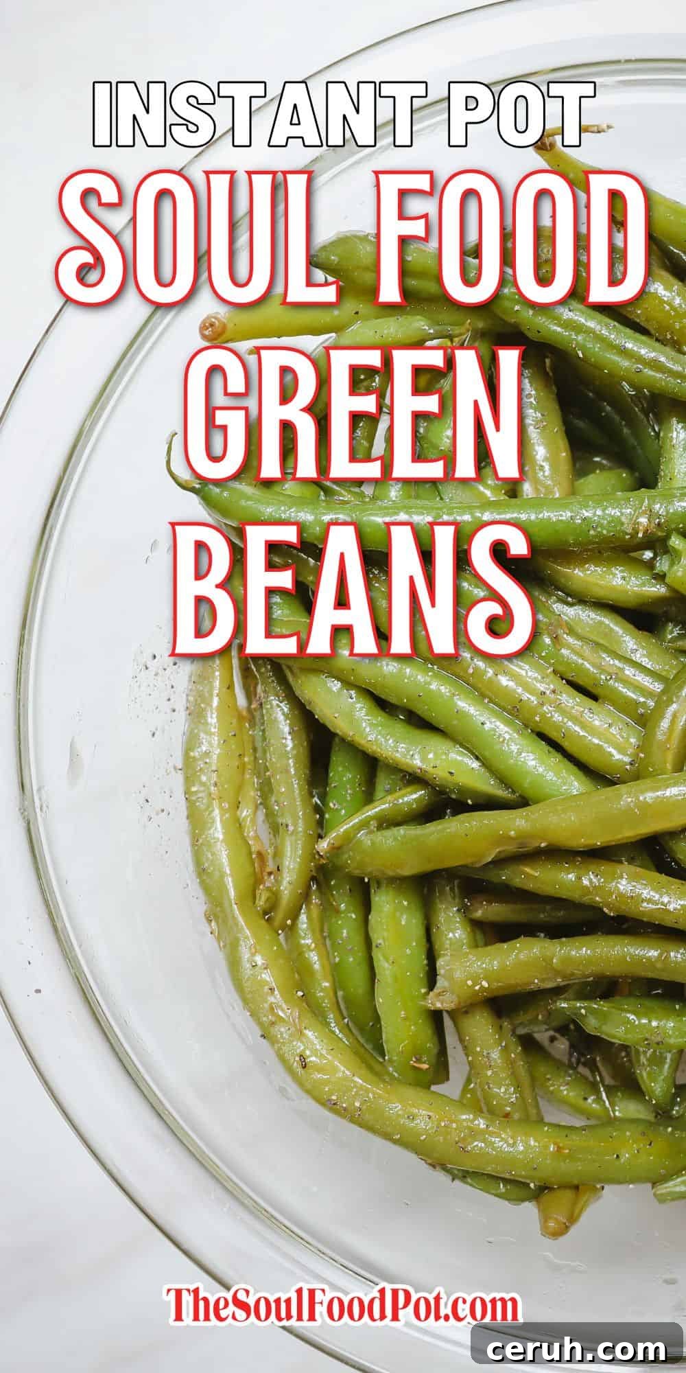 Instant Pot Soul Food Green Beans recipe title image featuring tender seasoned green beans and bold text overlay from TheSoulFoodPot.com by Shaunda Necole.