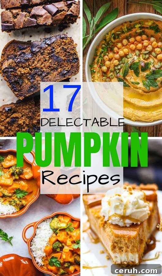 17 Delicious Pumpkin Recipes: Savory Dishes & Sweet Treats 2 multi-image collage of pumpkin recipes