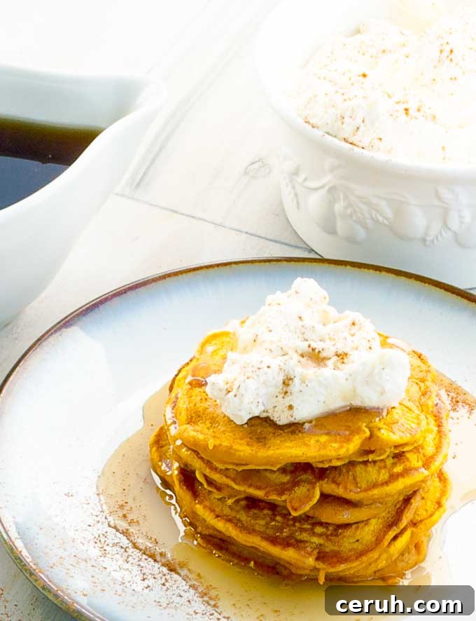 17 Delicious Pumpkin Recipes: Savory Dishes & Sweet Treats 15 stack of pumpkin pancakes