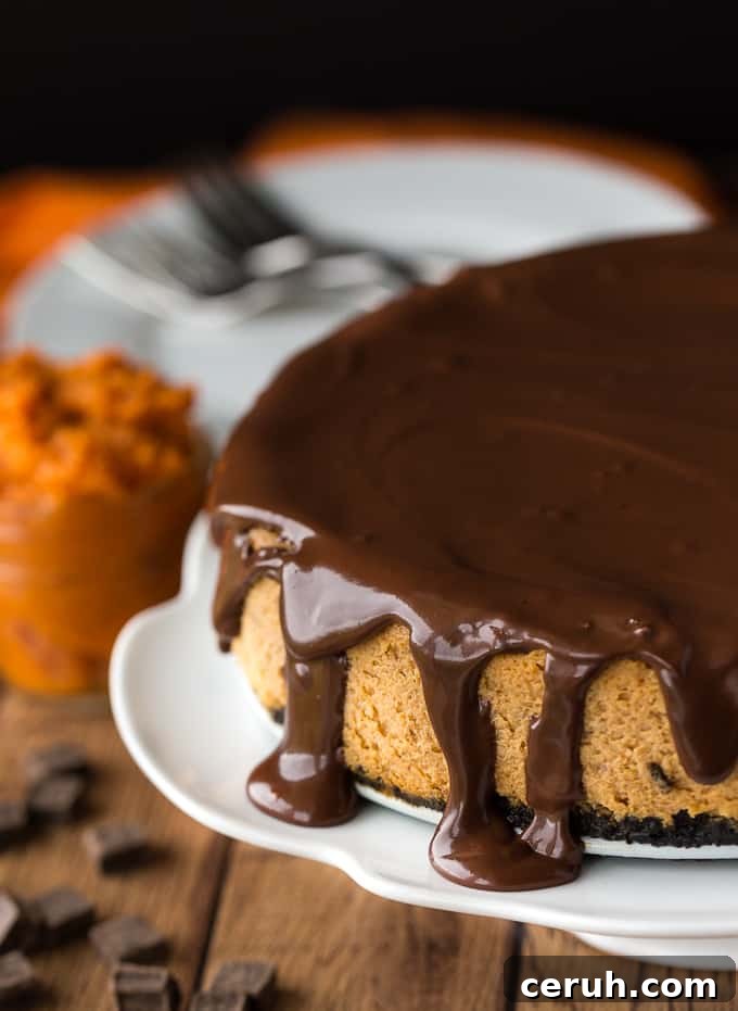 17 Delicious Pumpkin Recipes: Savory Dishes & Sweet Treats 16 chocolate-pumpkin-cheesecake