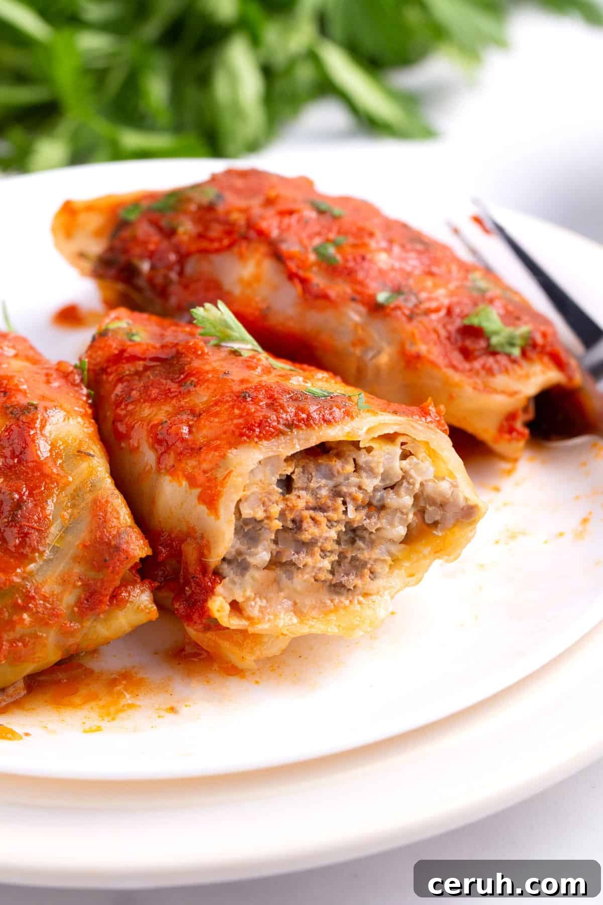 close up image of the cross section of a cabbage roll served on a white round plate.