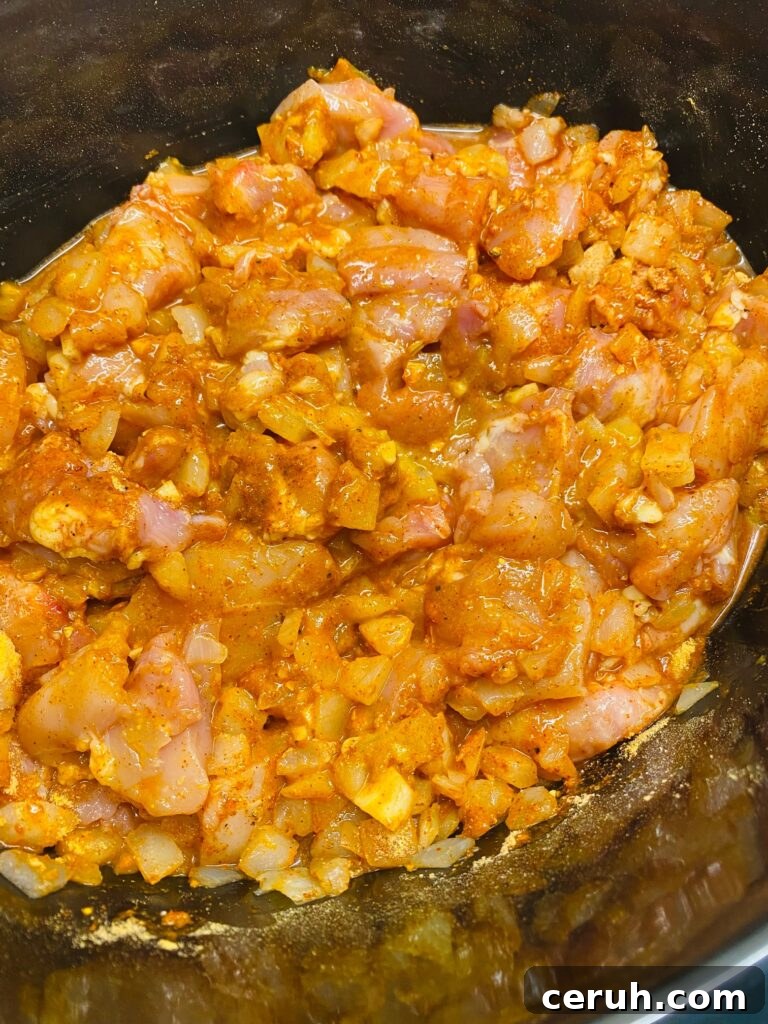 Slow-Cooker Taco Chicken Recipe for Busy Weeknights 4 chicken for the tacos before cooking