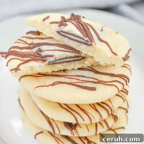 Andes Mint Chocolate Cookies