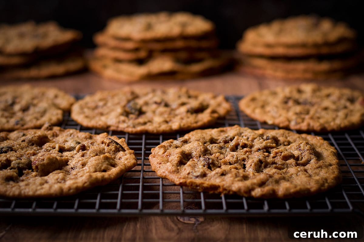 Several oatmeal raisin cookies cooling on a wire rack.