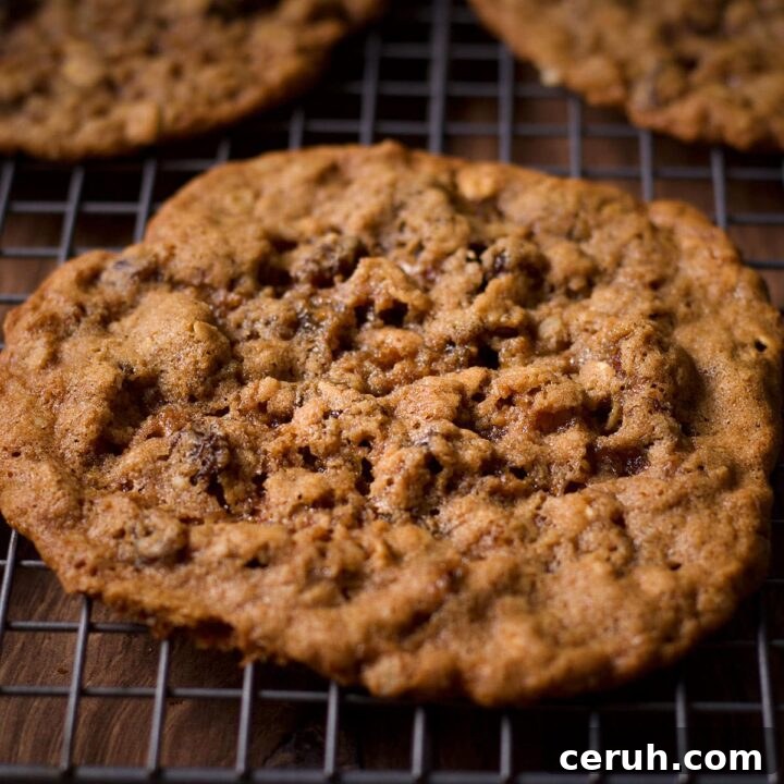 Thin and chewy oatmeal raisin cookies cooling on a wire rack.