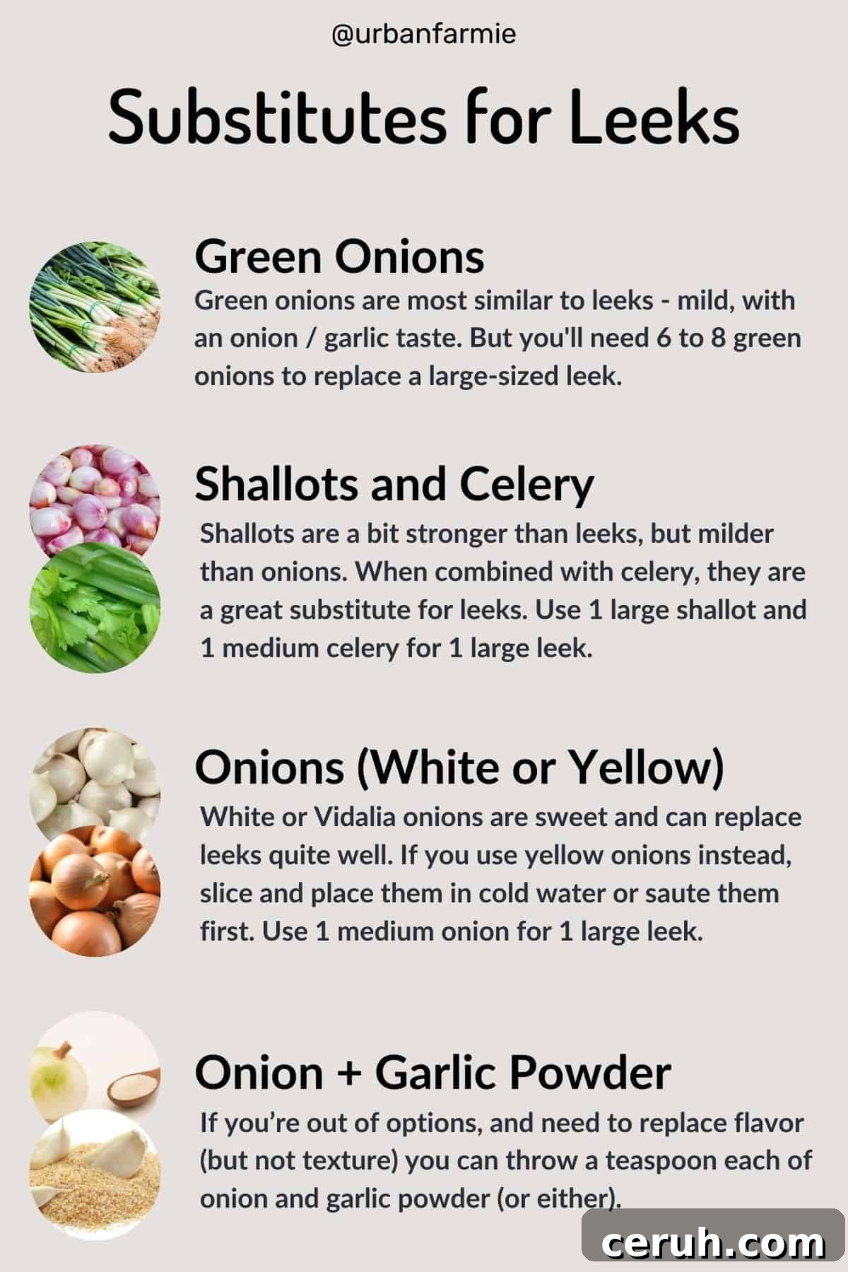 Infographic showing four substitutes for leeks - check post for details