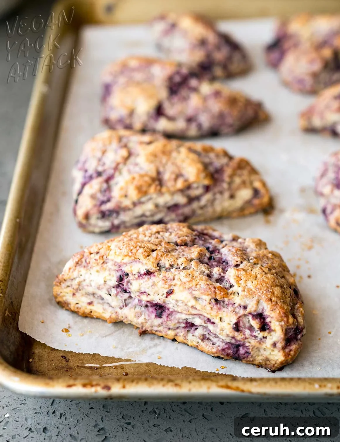 baked scones on a lined baking tray