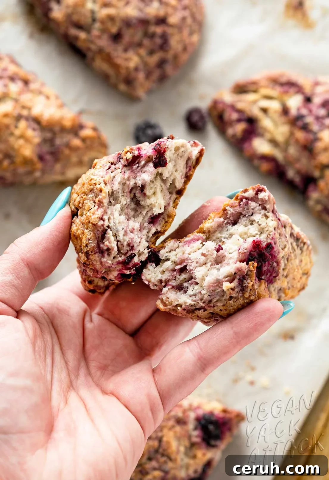 Hand holding two halves of blackberry scone