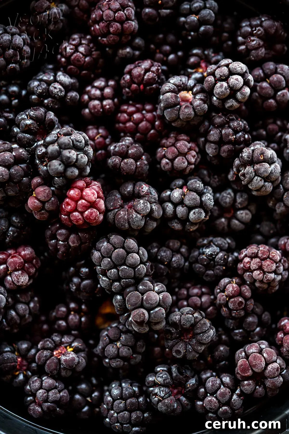 close up of frozen blackberries
