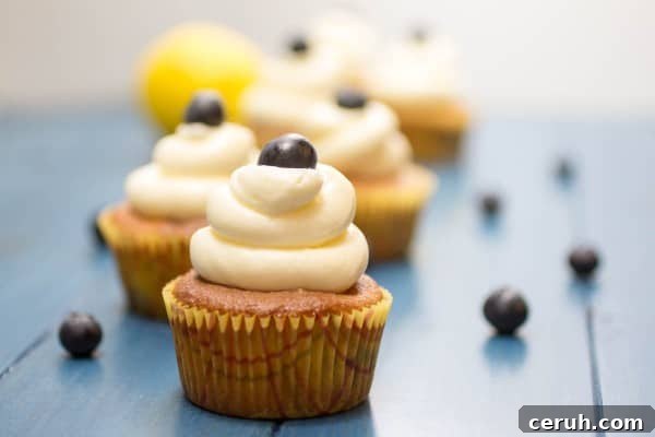 Blueberry Lemon Cupcakes