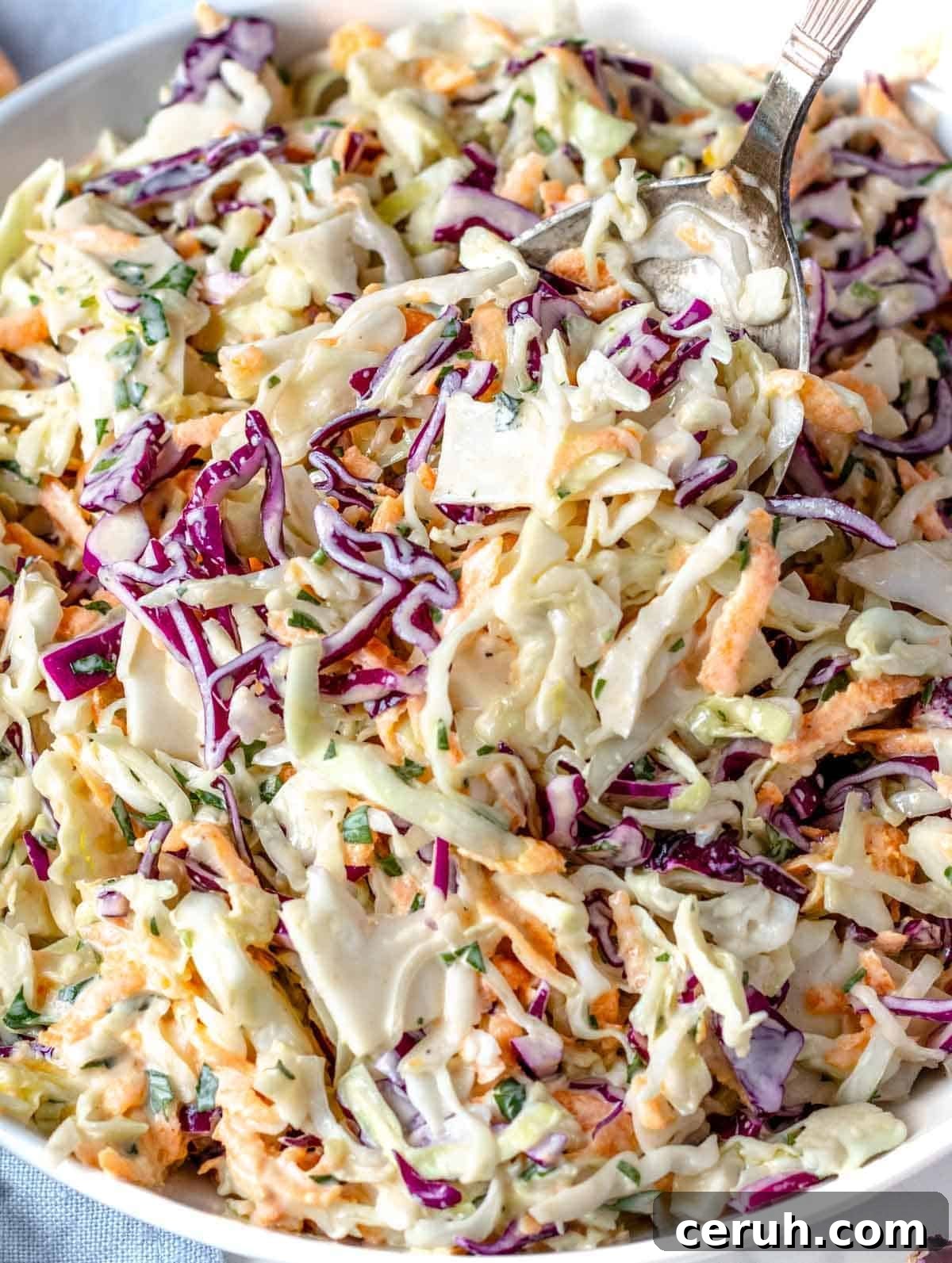 Classic Creamy Coleslaw Recipe for BBQs and Weeknight Meals 2 Healthy coleslaw.