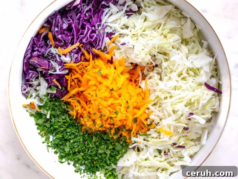 Classic Creamy Coleslaw Recipe for BBQs and Weeknight Meals 12 grated and chopped vegetables for coleslaw