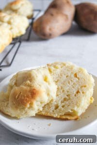 gluten free potato roll on a white plate.