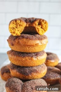 stack of gluten free pumpkin donuts.