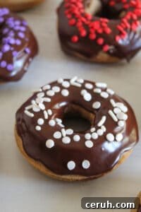 gluten free donut with chocolate glaze and white sprinkles.