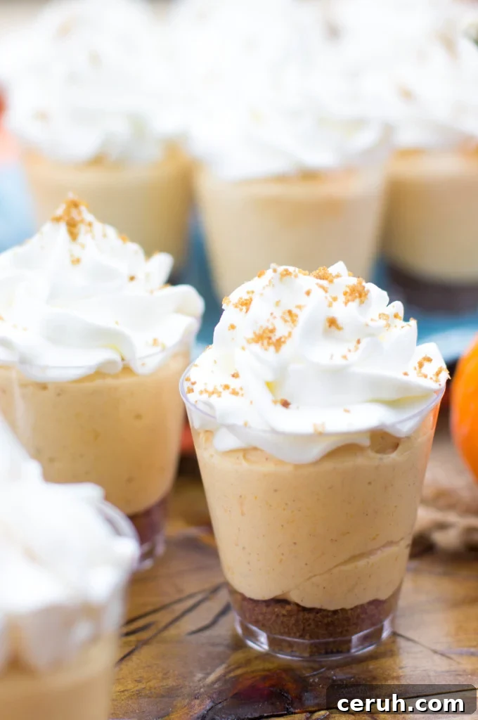 pumpkin pie shooters