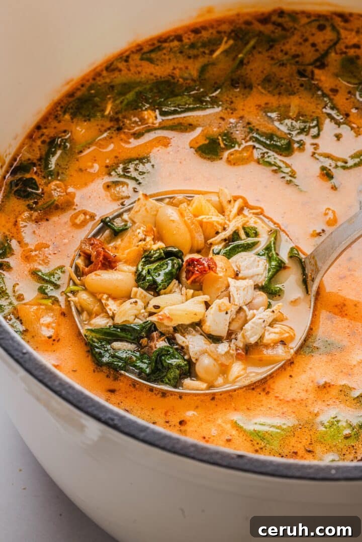 Marry be chicken soup in a large white Dutch oven with a vintage silver ladle.