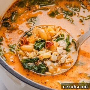 Marry be chicken soup in a large white Dutch oven with a vintage silver ladle.