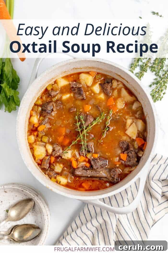 recipe for making delicious oxtail soup