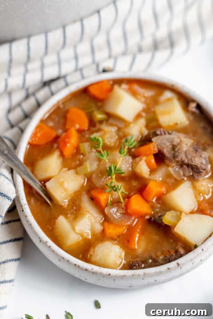 bowl of oxtail stew