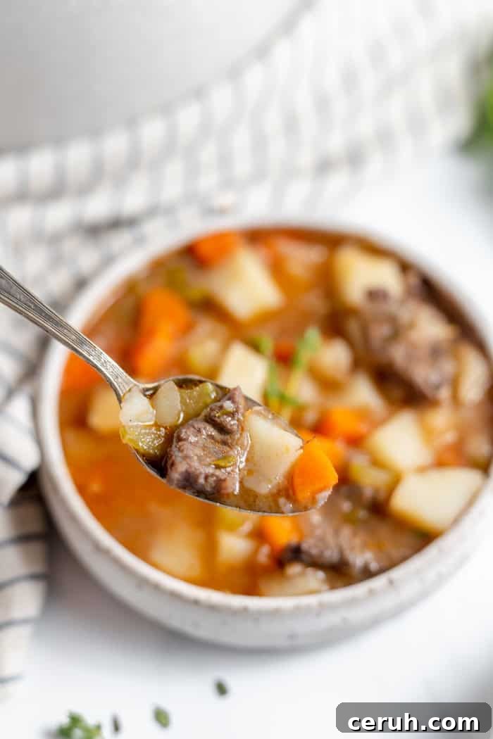 soup on a spoon with bowl and pot in background