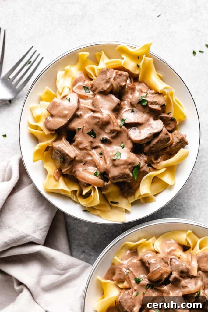 15 Classic Sides to Serve with Beef Stroganoff 2 Plates of beef stroganoff.