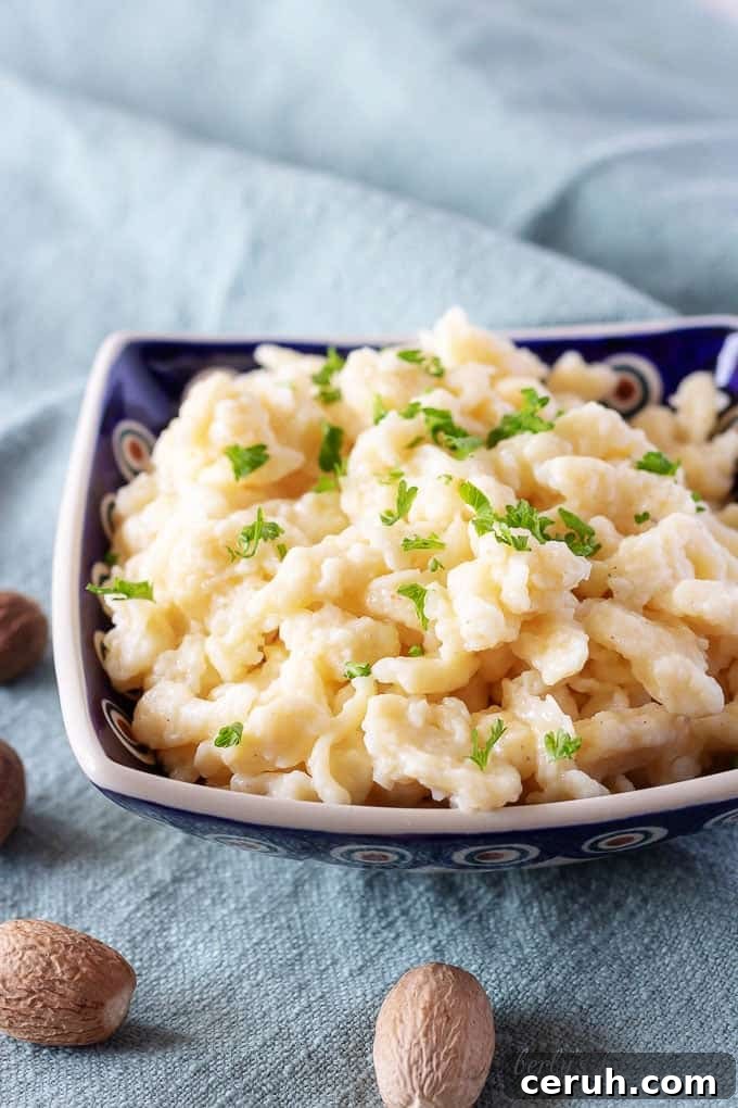 15 Classic Sides to Serve with Beef Stroganoff 3 Spaetzle in a bowl.
