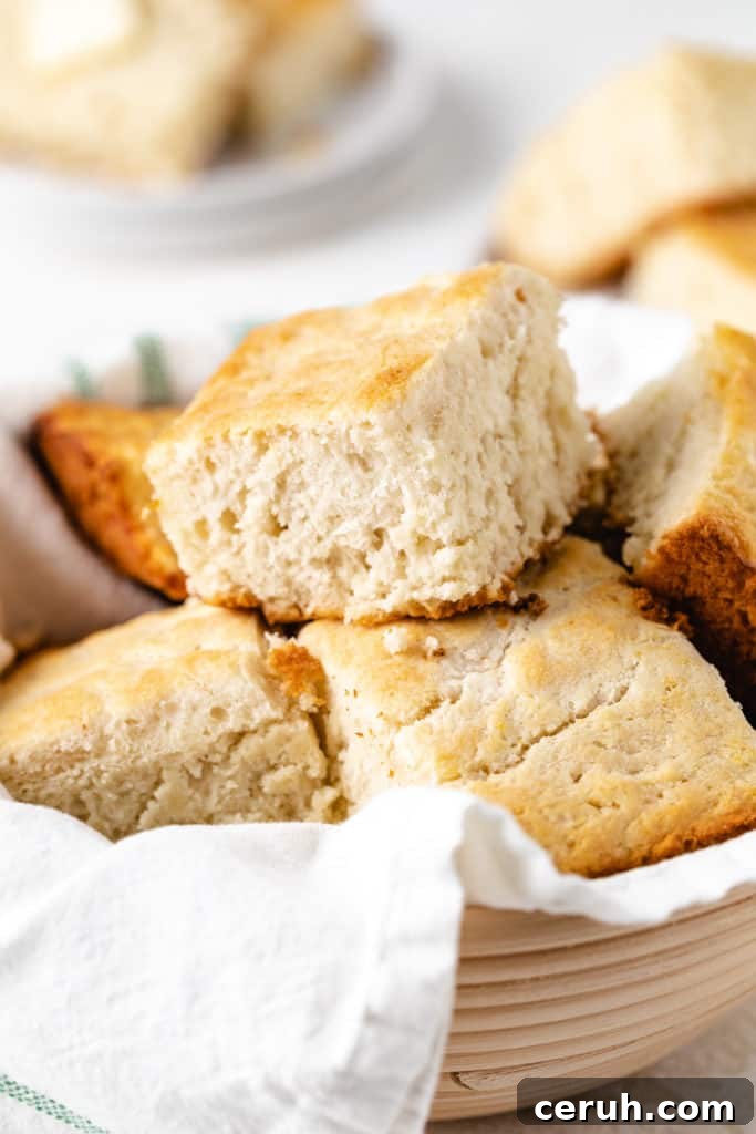 15 Classic Sides to Serve with Beef Stroganoff 6 A bowl of biscuits.