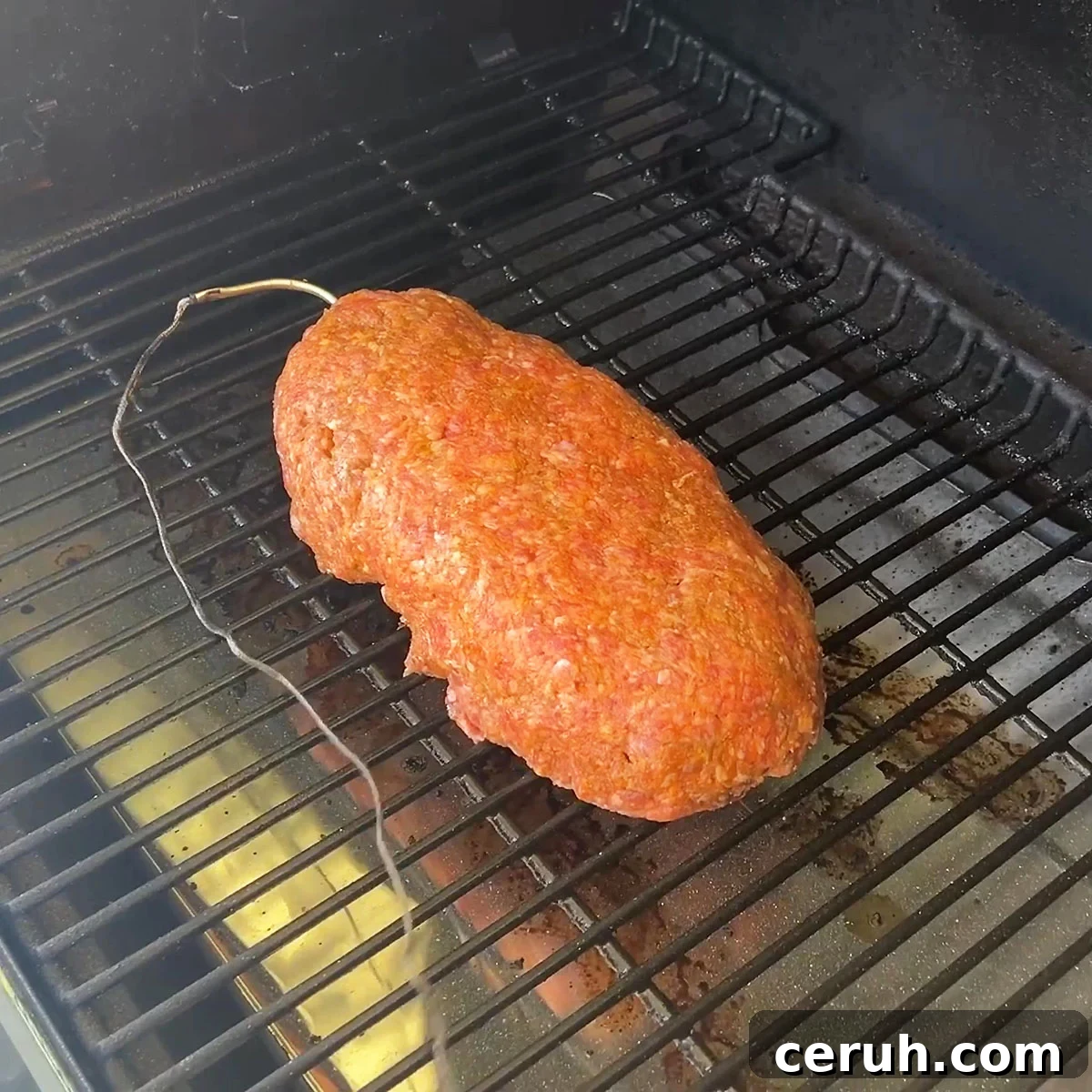Showing the correct placement of the meat probe in the raw meatloaf.