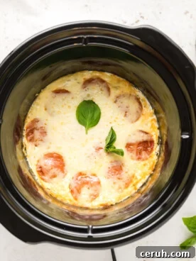 overhead of white pizza dip in a slow cooker.
