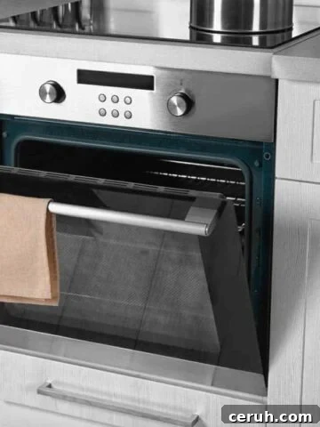 oven with door open