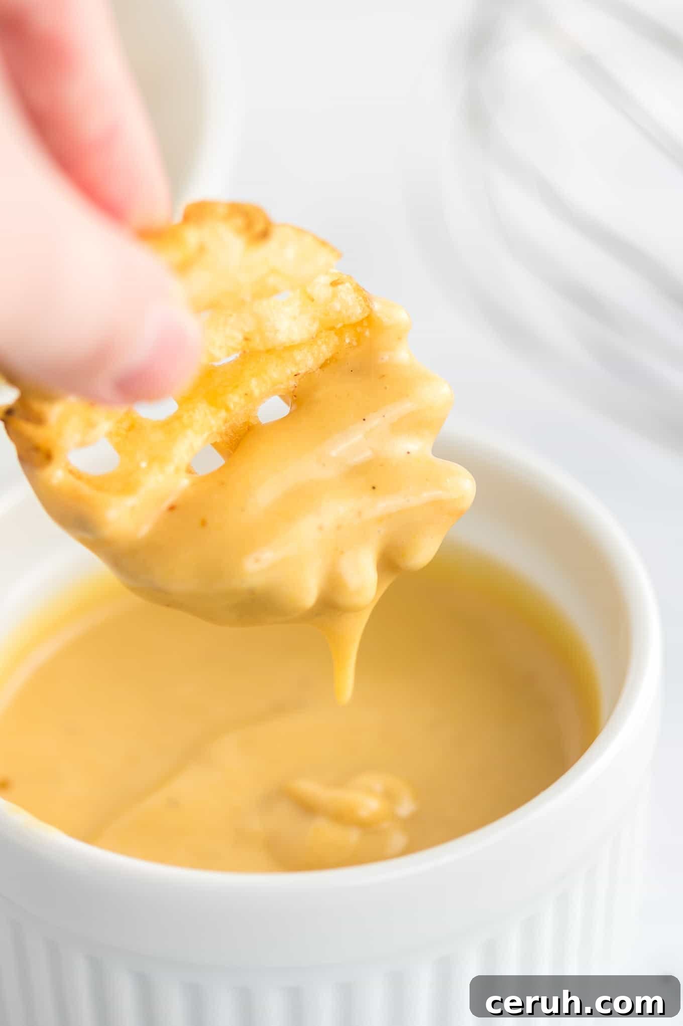 waffle fry dipped in sauce