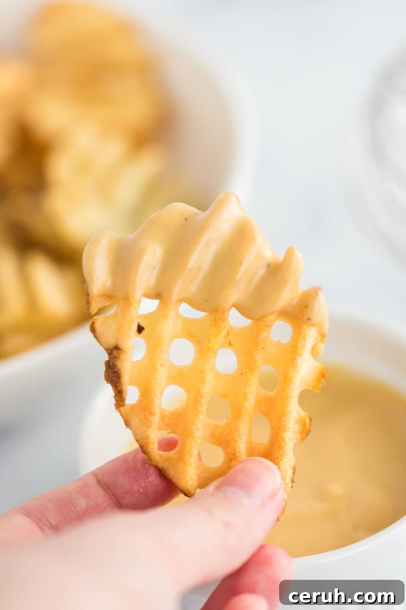 waffle fry dipped in sauce