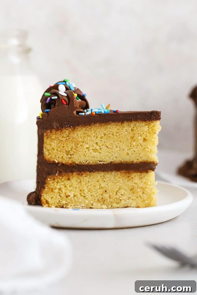 a slice of gluten-free vanilla cake with chocolate frosting and colorful sprinkles
