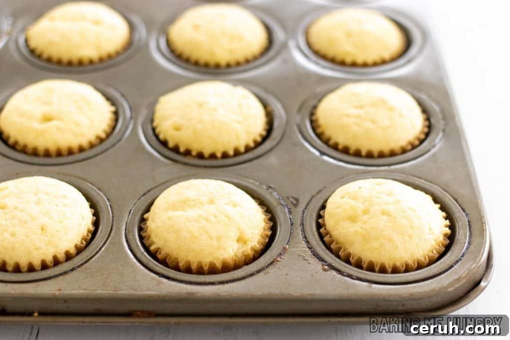 mini cupcakes cooling in pan