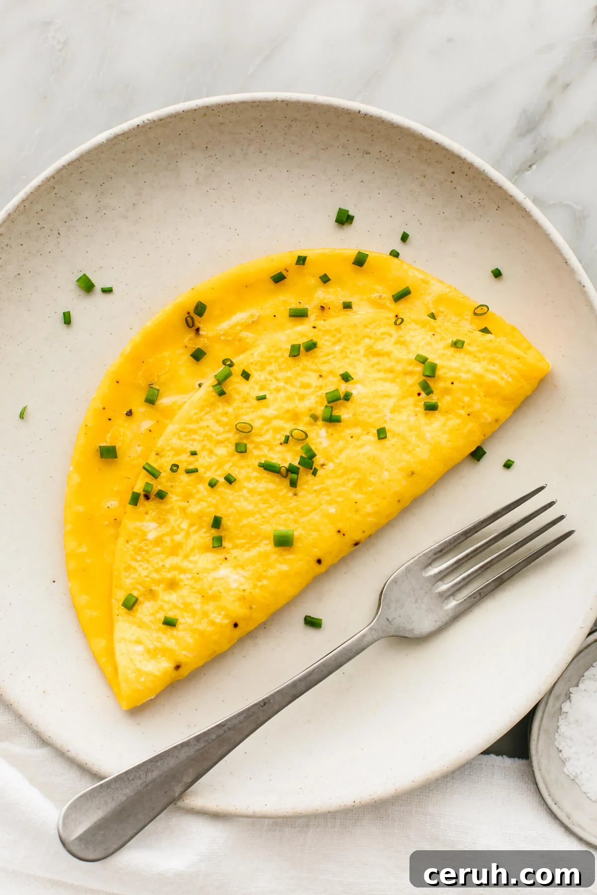 A plate with an omelette and a fork