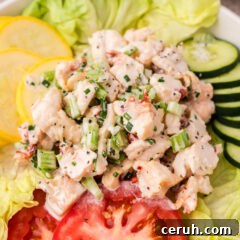 Close up photo of Lobster Salad