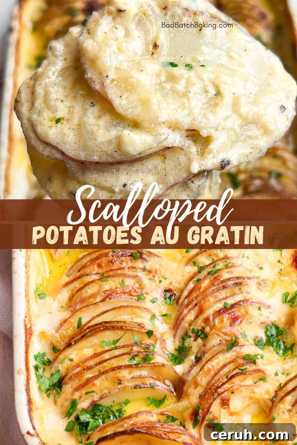 Scalloped Potatoes Au Gratin