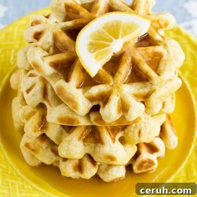 This recipe for lemon waffles made with sour cream are light and fluffy with the perfect amount of tang. Serve these waffles with maple syrup or lemon curd for the perfect weekend breakfast!