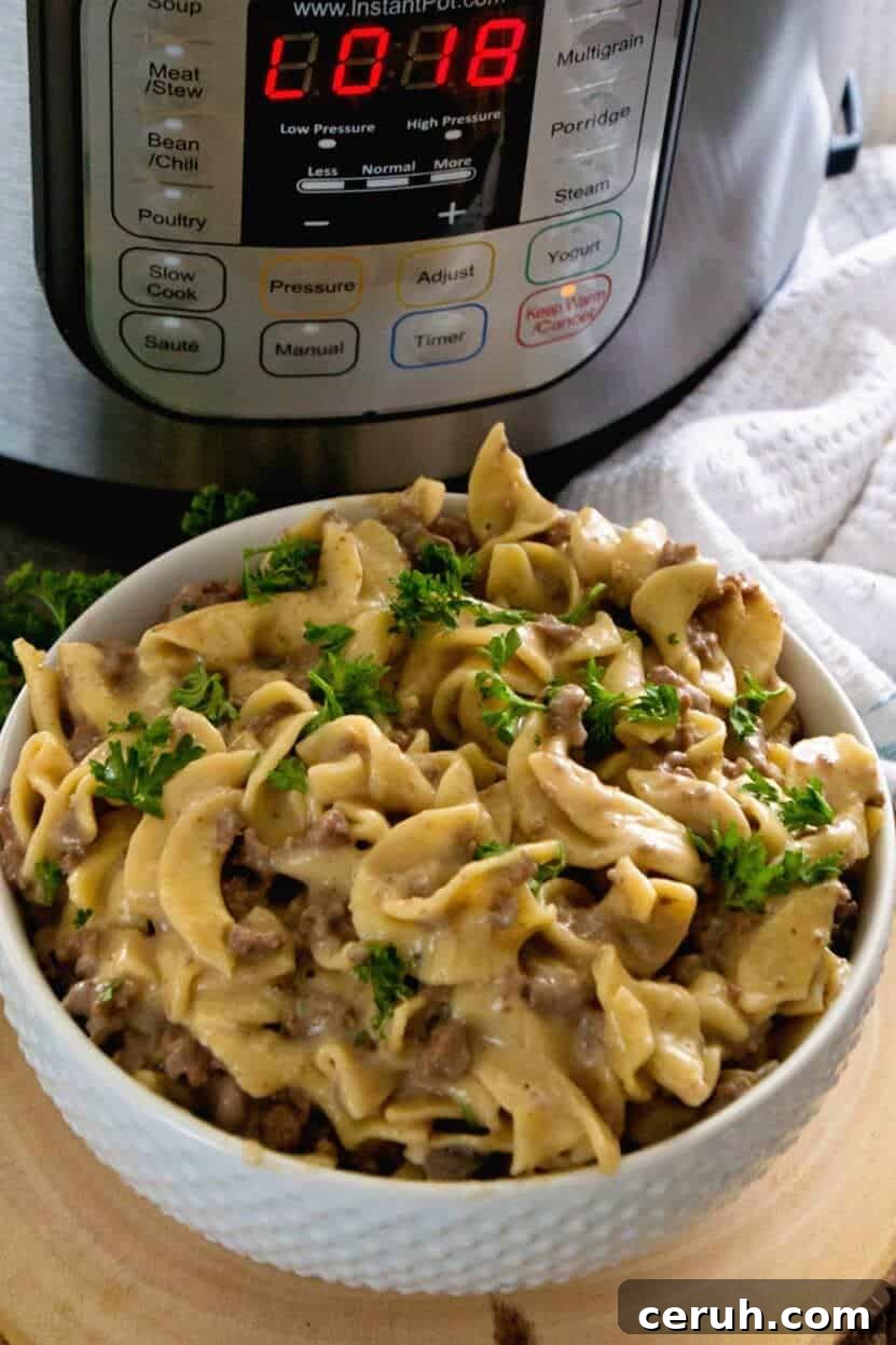 Sunday Meal Plan Week 101: Simple Recipes & Grocery List 13 Instant Pot hamburger stroganoff