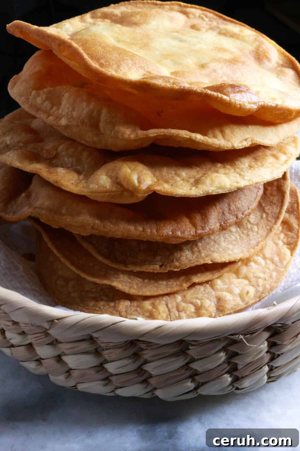Homemade Tostada Shells: Crispy Tortilla Shell Recipe 2 Stacked tostada shells